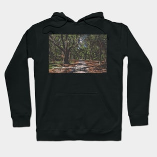 Cumberland Island National Seashore, Georgia Hoodie